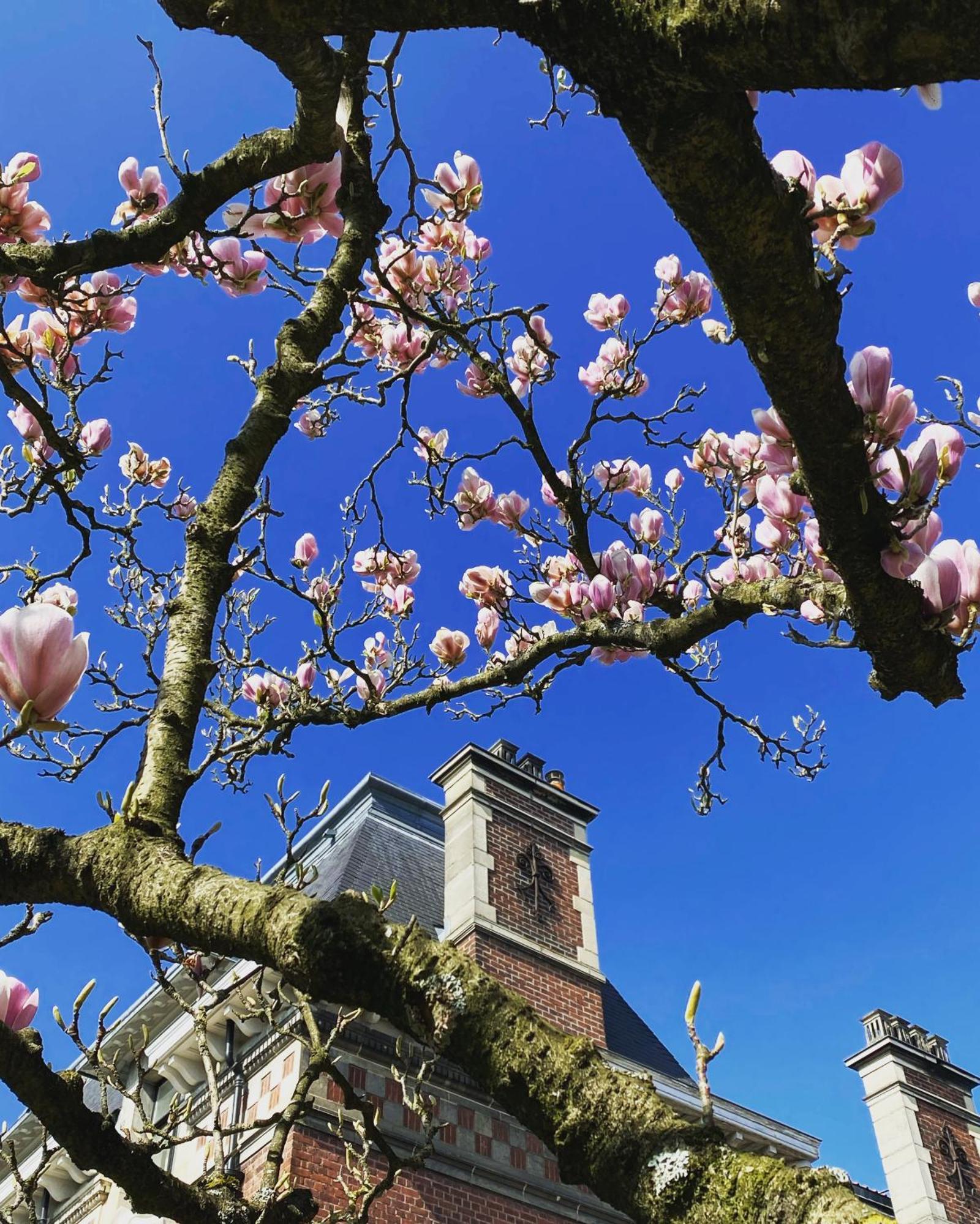 La Villa Barbieux รูแบ ภายนอก รูปภาพ